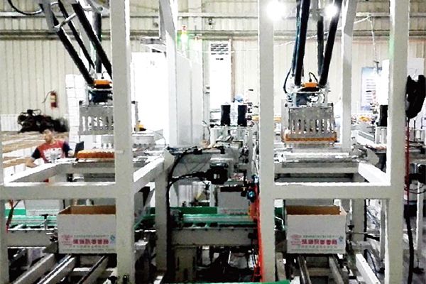 Custom End-of-Line Packaging System