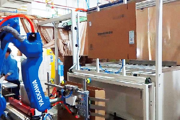 Custom End-of-Line Packaging System