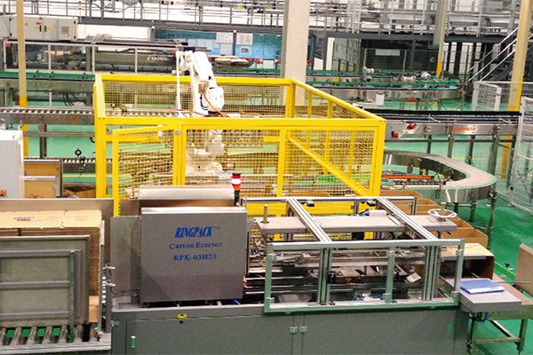 Custom End-of-Line Packaging System