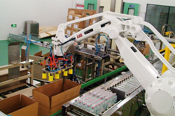 Custom End-of-Line Packaging System